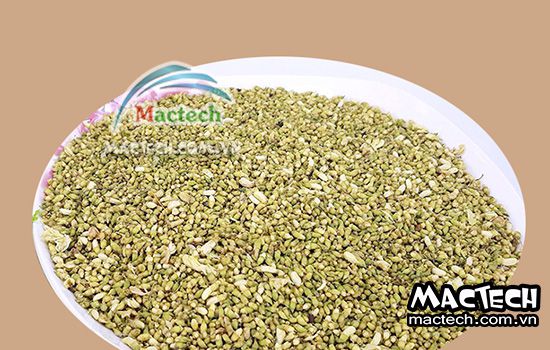 Nhiệt độ sấy hoa hòe bao nhiêu cho phù hợp