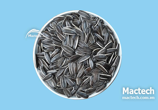 Máy sấy chín hạt hướng dương Mactech