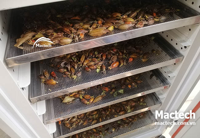 Chia sẻ từ khách hàng: "Tôi đã tăng gấp đôi sản lượng nhờ máy sấy nhiệt cao Mactech"