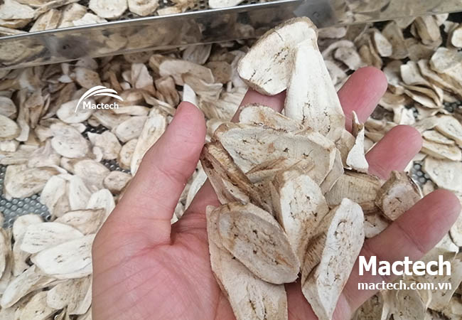 Chia sẻ từ khách hàng: "Tôi đã tăng gấp đôi sản lượng nhờ máy sấy nhiệt cao Mactech"