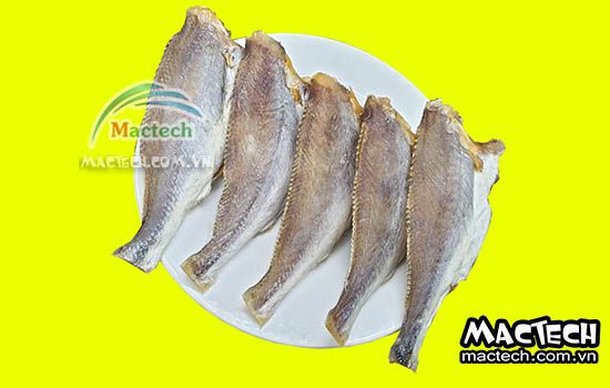 Máy sấy cá một nắng Mactech