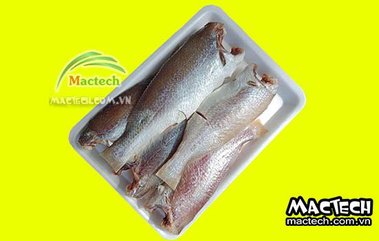 Máy sấy cá một nắng Mactech
