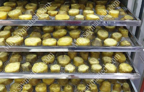 Máy sấy khoai lang Mactech, sấy khô, sấy dẻo chất lượng cao