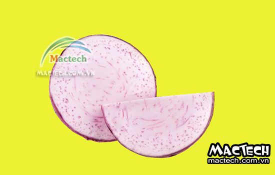 Máy sấy thăng hoa khoai môn Mactech, sấy khô nghiền bột cao cấp