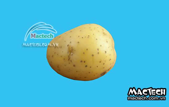 Máy sấy thăng hoa khoai tây Mactech