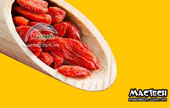 Máy sấy khô kỷ tử Mactech