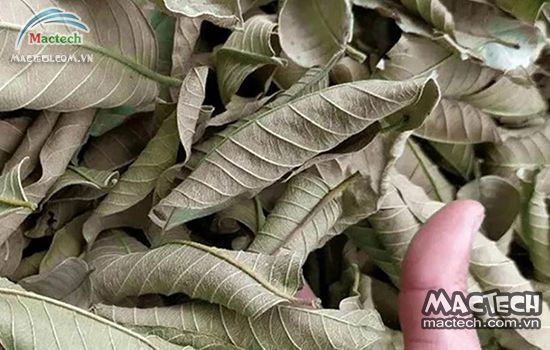 Đánh giá các dòng máy sấy nông sản phù hợp cho hộ kinh doanh nhỏ