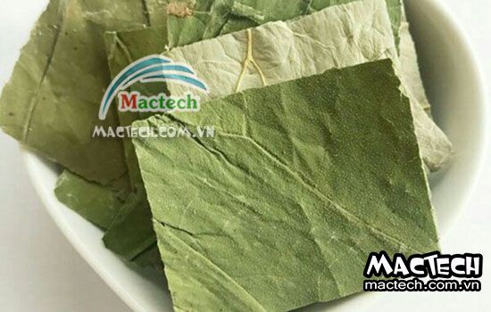 Sấy lá sen nên dùng loại máy sấy nào cho phù hợp