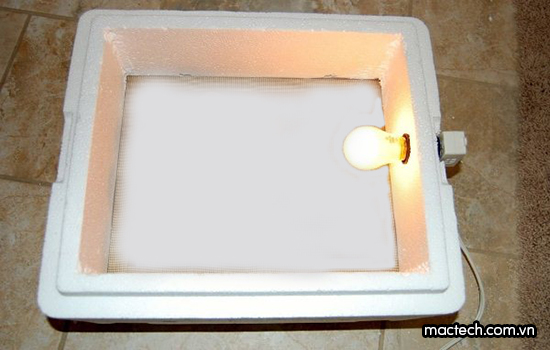 Cách ấp trứng cút bằng đèn