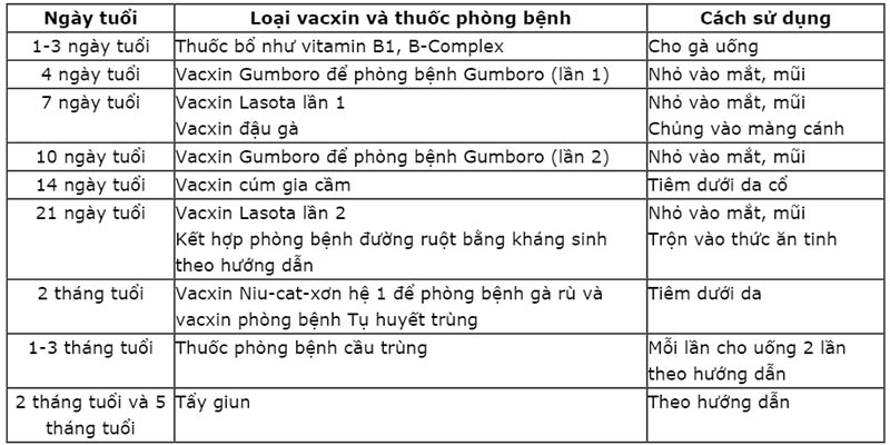 Lịch tiêm vac xin và thuốc phòng bệnh cho gà