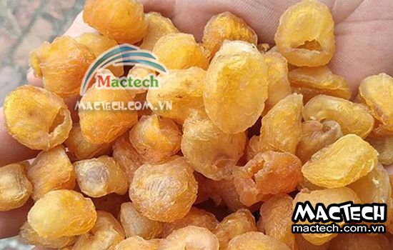 Long nhãn sấy lâu khô, nguyên nhân + cách khắc phục tình trạng này