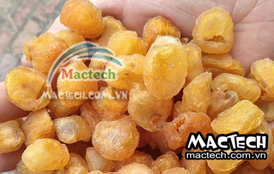 máy sấy long nhãn mactech