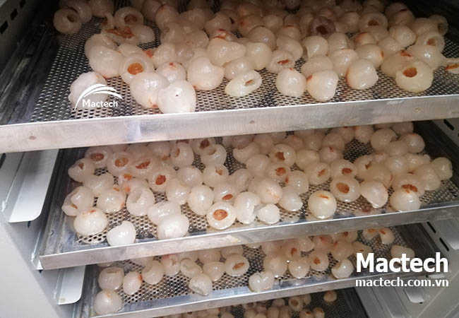 Tại sao máy sấy lạnh Mactech giá cao hơn nhiều hãng khác trên thị trường