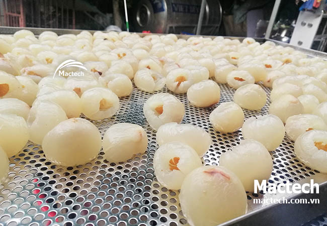 Long vải sấy ở 90 độ không bị đắng, tại sao lại vậy