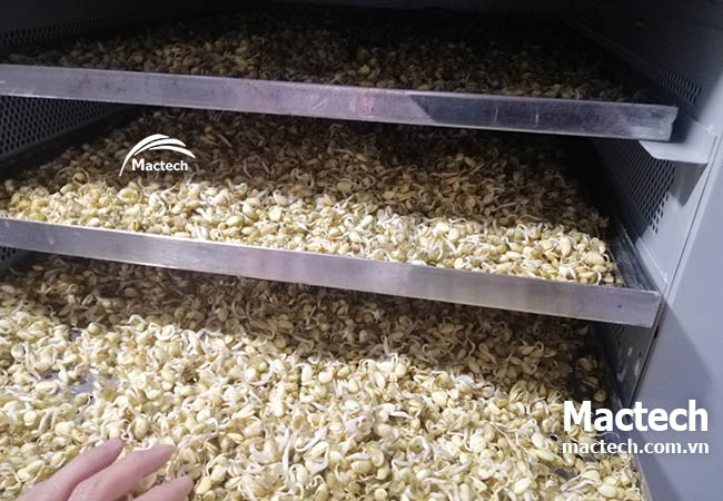 Cách tính khấu hao máy sấy theo thời gian