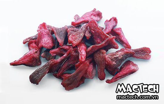 máy sấy roi dẻo