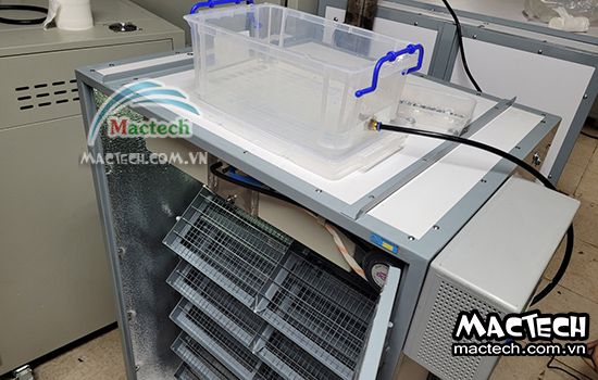 So sánh máy ấp trứng mini và máy ấp công nghiệp Mactech