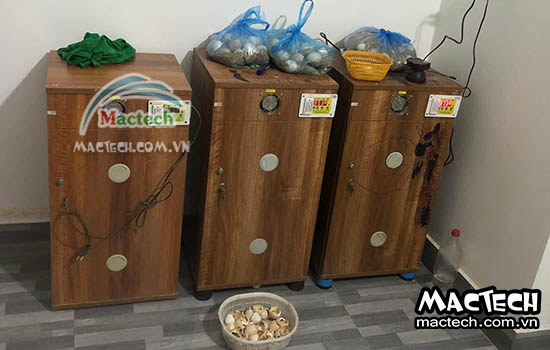 Khách hàng đã phát triển mô hình chăn nuôi như thế nào nhờ máy ấp trứng
