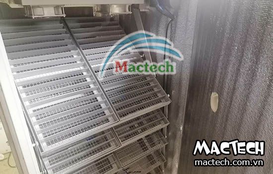 Máy ấp trứng đa năng là loại máy ấp trứng gì? Hiểu sao cho đúng về đa năng