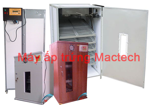 máy ấp trứng mactech