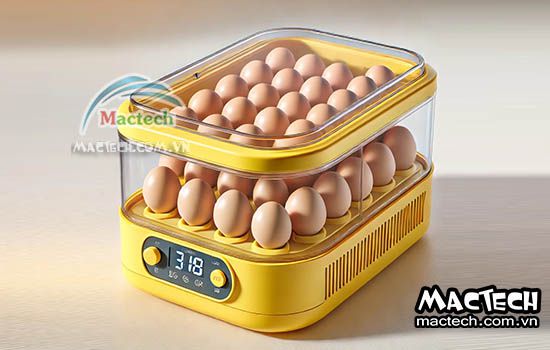 So sánh máy ấp trứng vỏ nhựa và máy ấp trứng vỏ nhôm