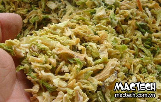 máy sấy bắp cải