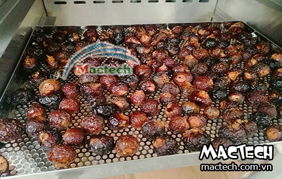 máy sấy bồ hòn