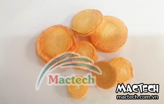 máy sấy cà rốt
