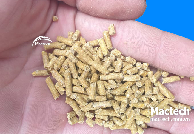 Nên sấy nhanh hay sấy chậm? Khi nào nên dùng máy sấy nhiệt độ cao?