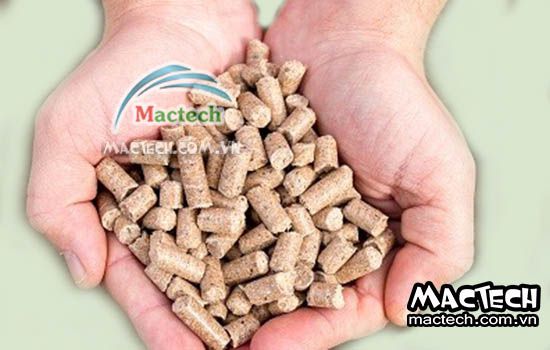 Máy sấy lạnh cám viên, có nên dùng máy sấy lạnh để sấy cám viên không