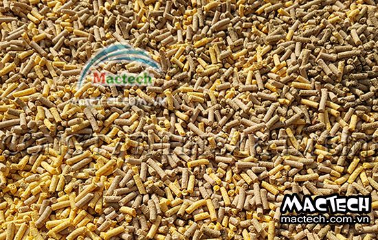 Nhiệt độ sấy cám viên bao nhiêu là phù hợp để cám khô nhanh