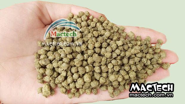 Nhiệt độ sấy cám viên bao nhiêu là phù hợp để cám khô nhanh