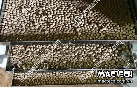 Máy sấy cám viên