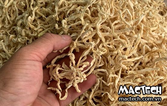 máy sấy củ cải