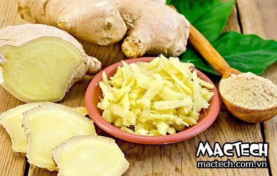 máy sấy củ gừng