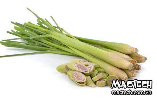 máy sấy củ xả