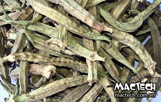 máy sấy đậu bắp