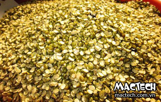 máy sấy đậu xanh