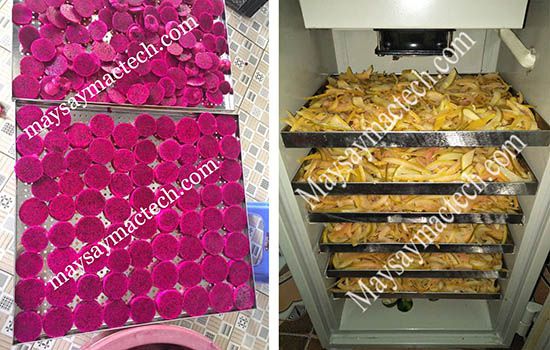 Máy sấy lạnh trái cây sấy bao lâu thì khô?