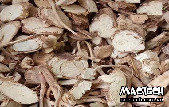 máy sấy đinh lăng