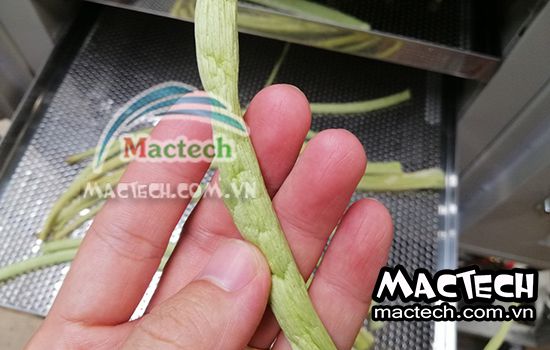 Dọc mùng sấy lâu khô, nguyên nhân và hướng xử lý