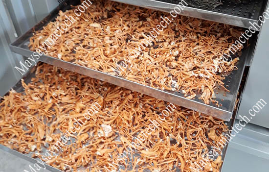 Máy sấy đông trùng hạ thảo Mactech, sấy lạnh chất lượng cao