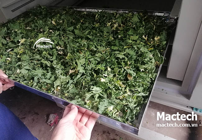 Nguyên lý hoạt động của máy sấy dược liệu