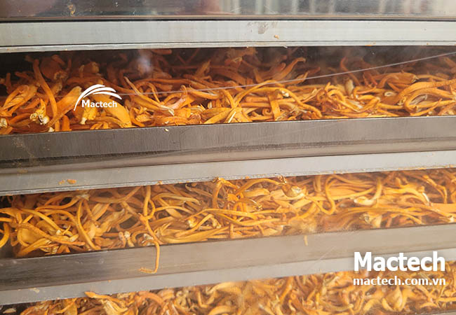 Nguyên lý hoạt động của máy sấy dược liệu