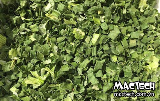 Máy sấy hành lá