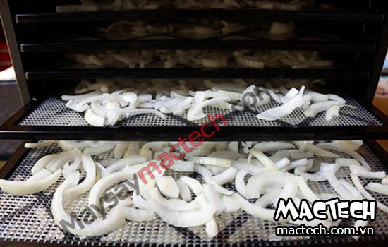 máy sấy hành tây