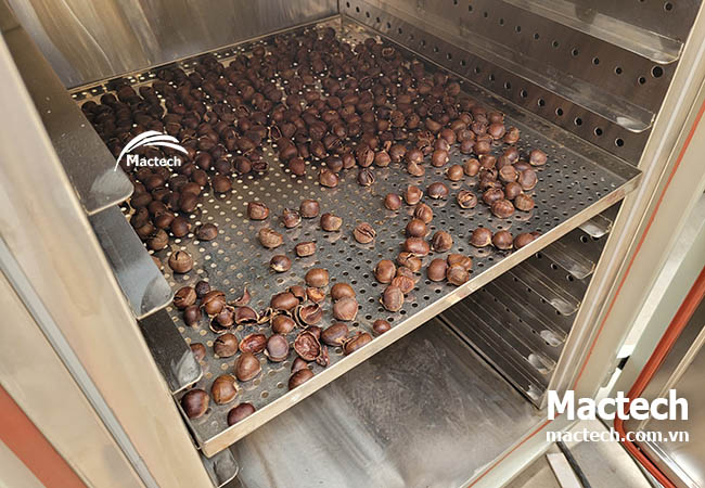 Máy sấy hạt dẻ Mactech, sấy khô nhanh đảm bảo chất lượng