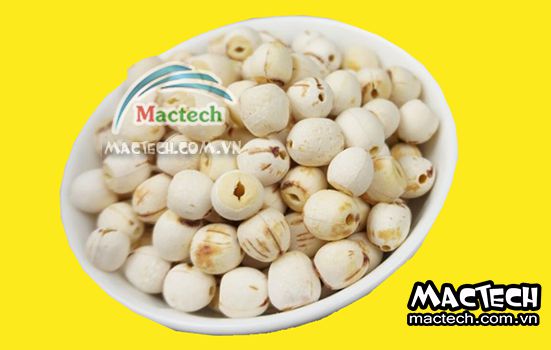 Cách sấy hạt sen bằng máy sấy Mactech cho hiệu quả cao