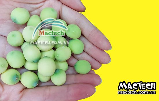 Thời gian sấy hạt sen bao lâu thì khô, 3 hay 5 tiếng