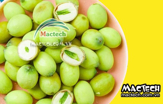 Hạt sen có nên sấy thăng hoa không, tại sao?